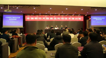 技術推廣服務中心 連接創新與應用的橋梁